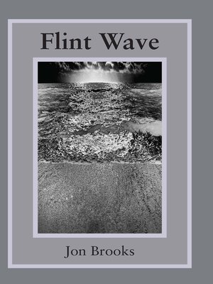 cover image of Flint Wave